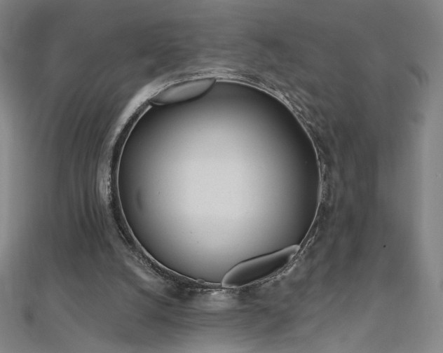 X0000112480056200908171228