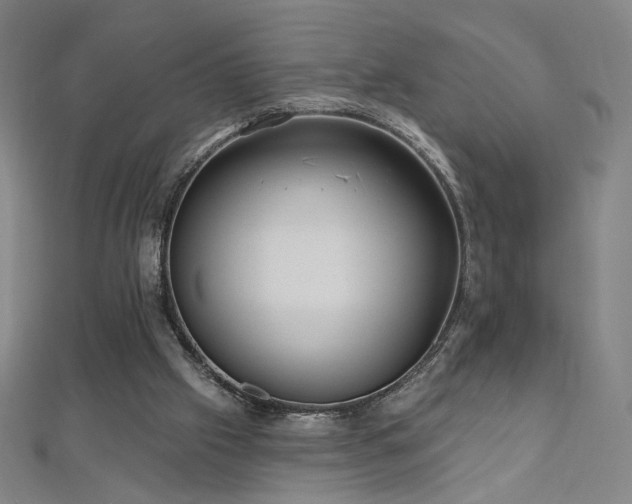 X0000112480057200908171228