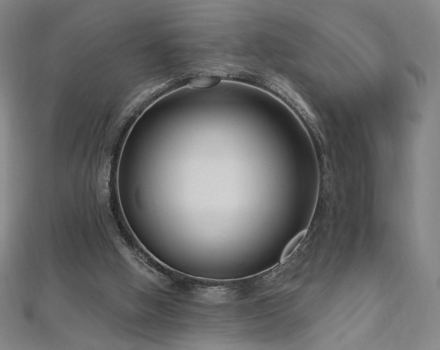 X0000112480058200908171228