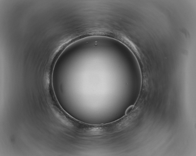 X0000112480059200908171228