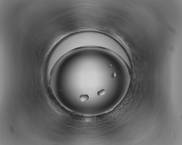 X0000112480060200908171228