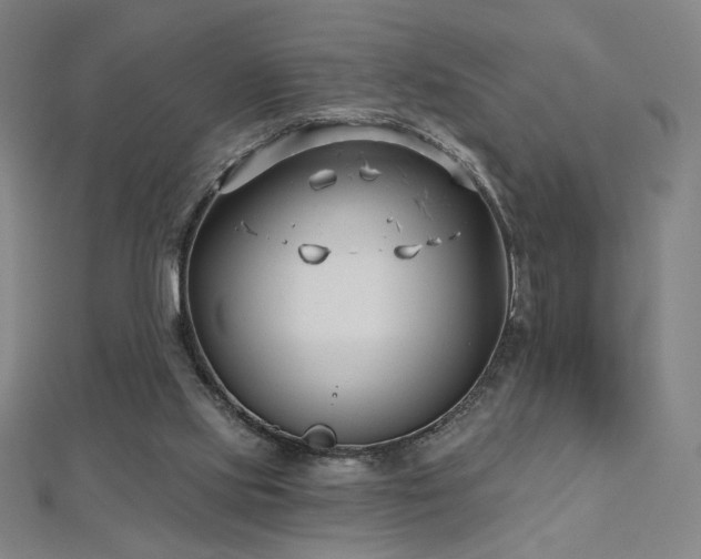 X0000112480061200908171228