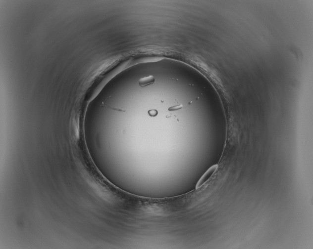 X0000112480062200908171228