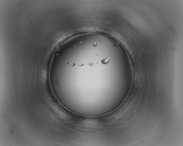 X0000112480063200908171228
