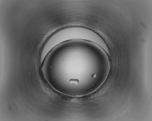 X0000112480064200908171228