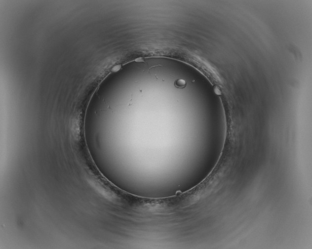 X0000112480065200908171228