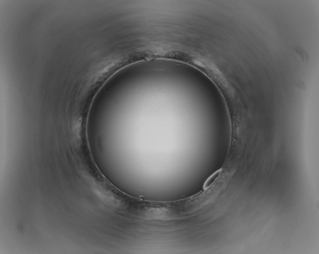 X0000112480066200908171228