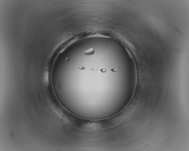 X0000112480067200908171228