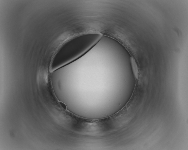 X0000112480068200908171228