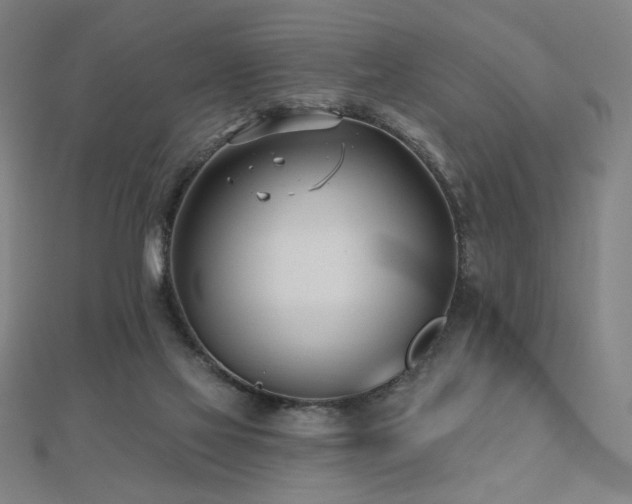 X0000112480069200908171228