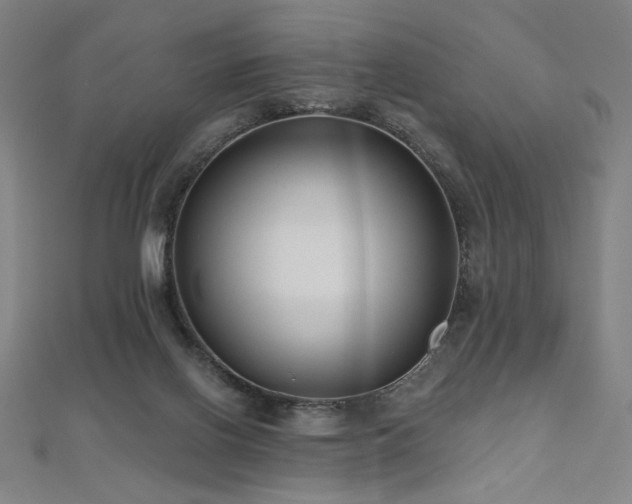 X0000112480070200908171228
