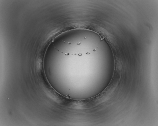 X0000112480071200908171228