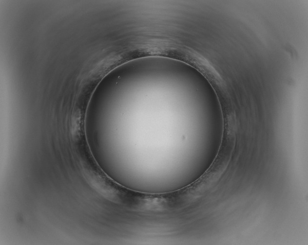 X0000112480073200908171228