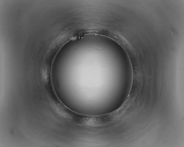 X0000112480074200908171228