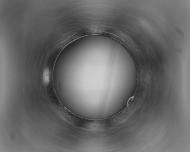 X0000112480075200908171228