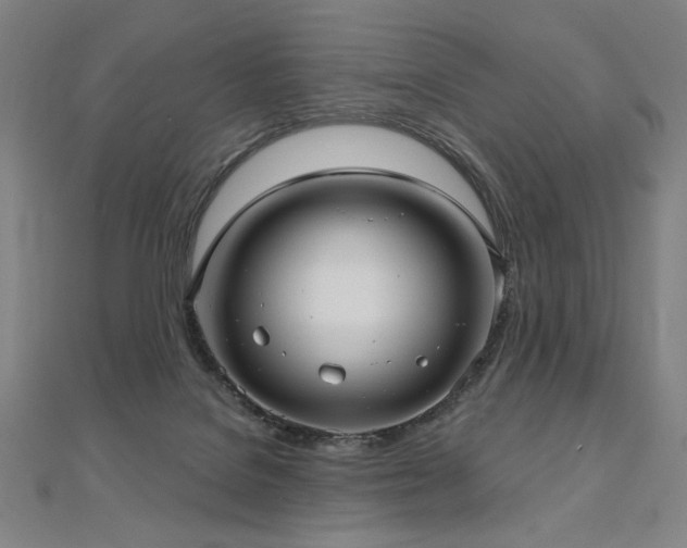 X0000112480076200908171228