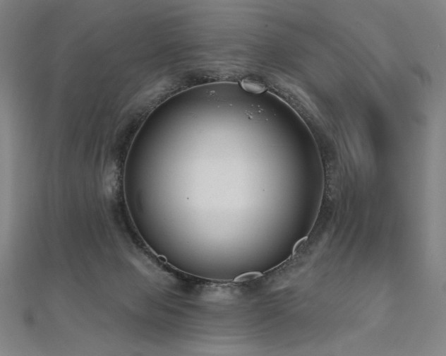 X0000112480077200908171228