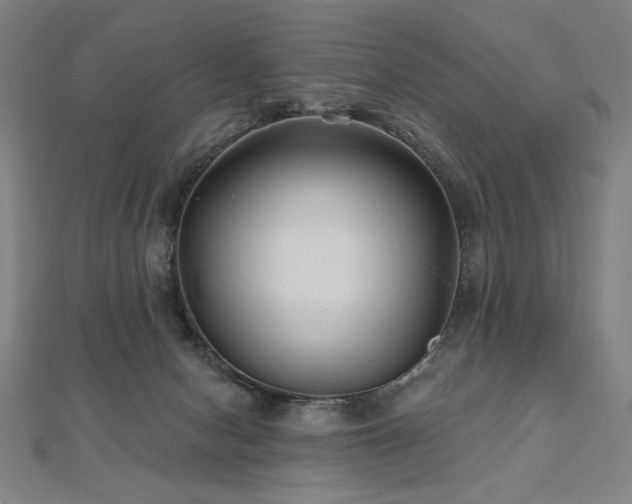 X0000112480078200908171228