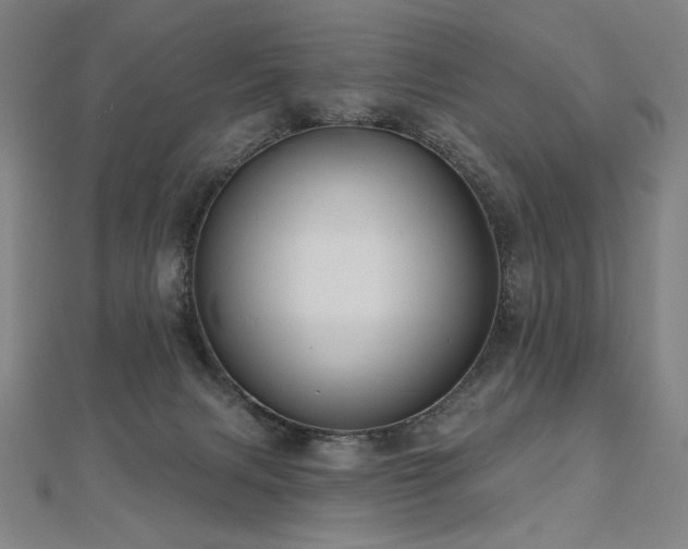 X0000112480079200908171228