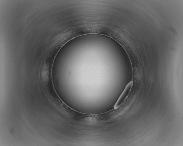 X0000112480080200908171228