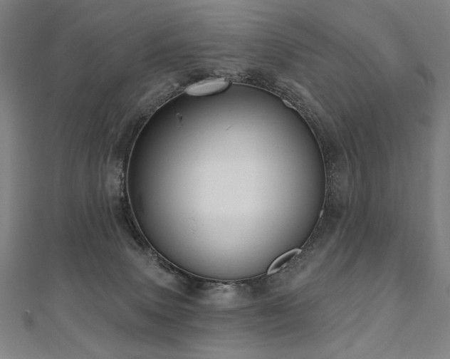 X0000112480083200908171228