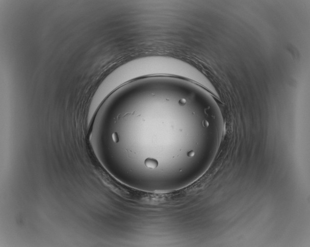 X0000112480084200908171228