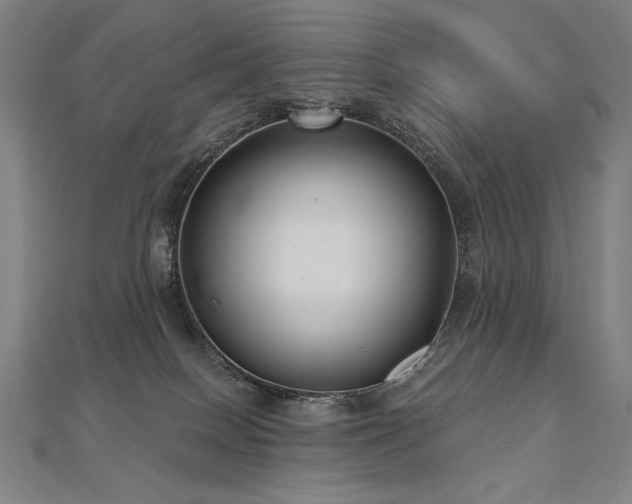 X0000112480086200908171228