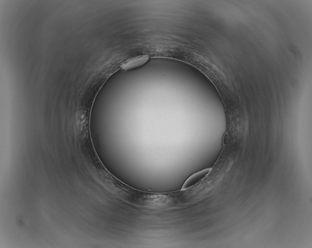 X0000112480087200908171228