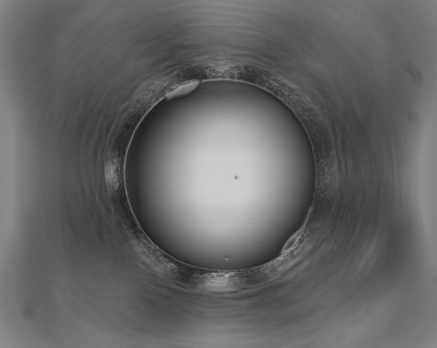 X0000112480090200908171228