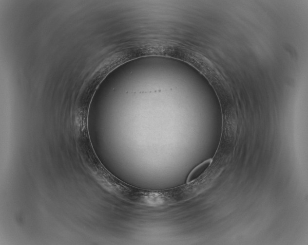 X0000112480091200908171228