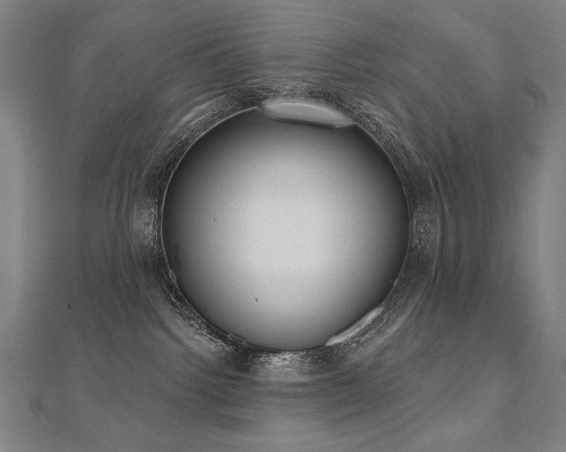 X0000112480092200908171228