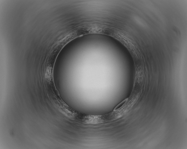 X0000112480093200908171228