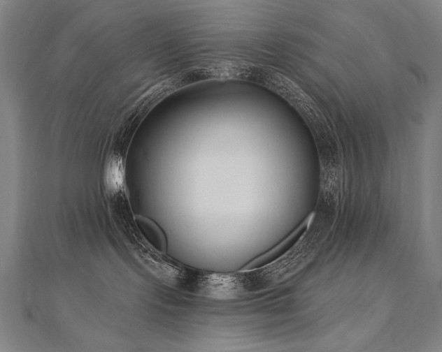 X0000112480095200908171228