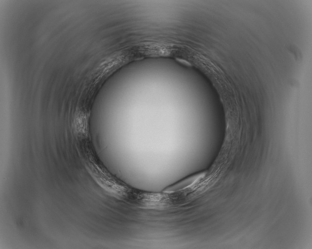 X0000112480096200908171228