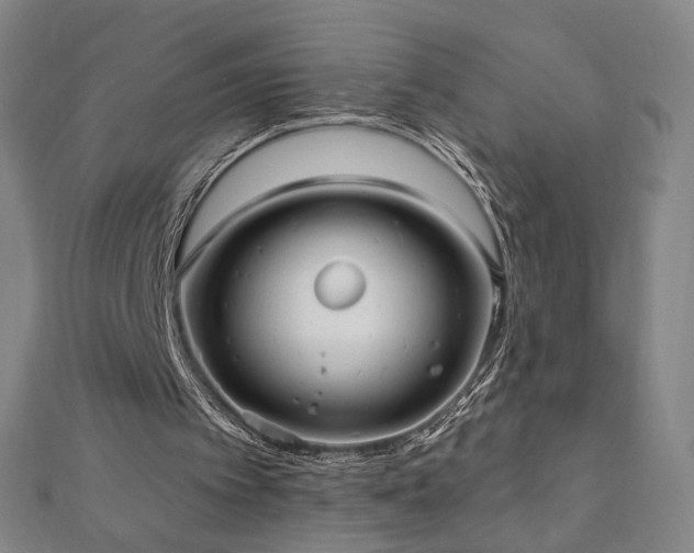 X0000112480097200908171228