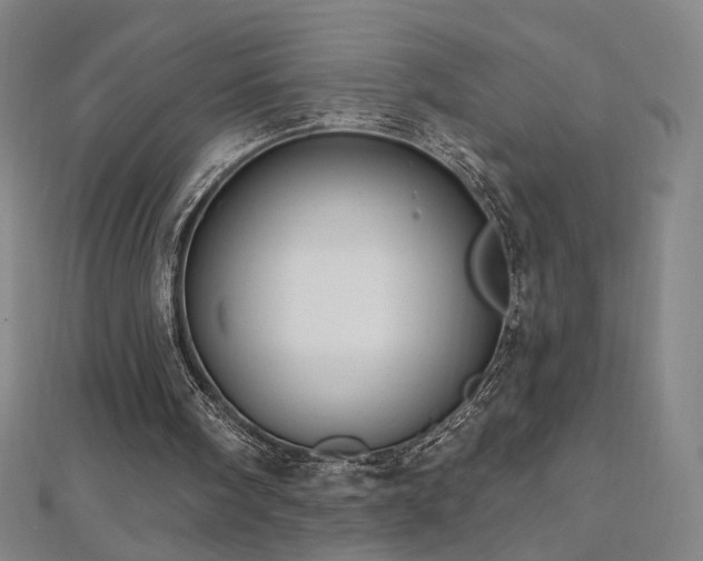 X0000112480098200908171228