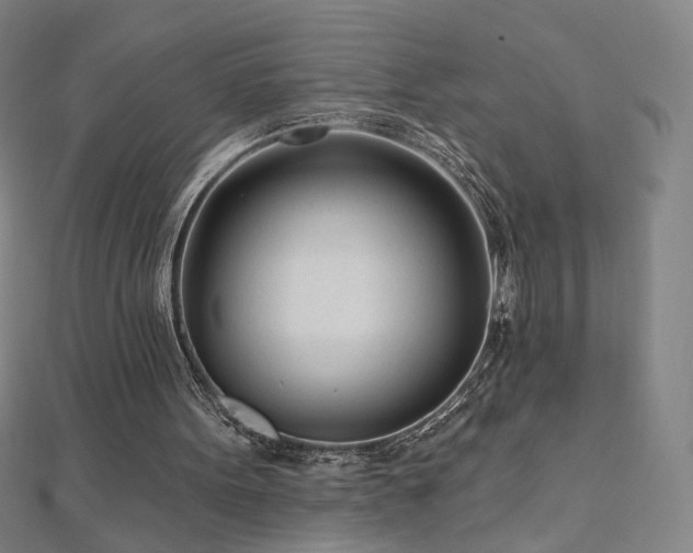 X0000112480099200908171228