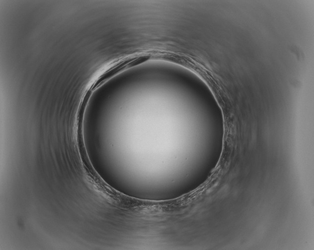 X0000112480100200908171228