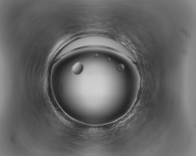 X0000112480101200908171228