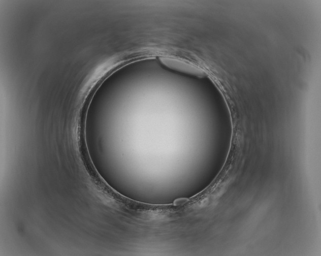 X0000112480103200908171228