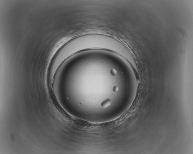 X0000112480104200908171228