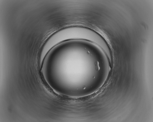 X0000112480105200908171228