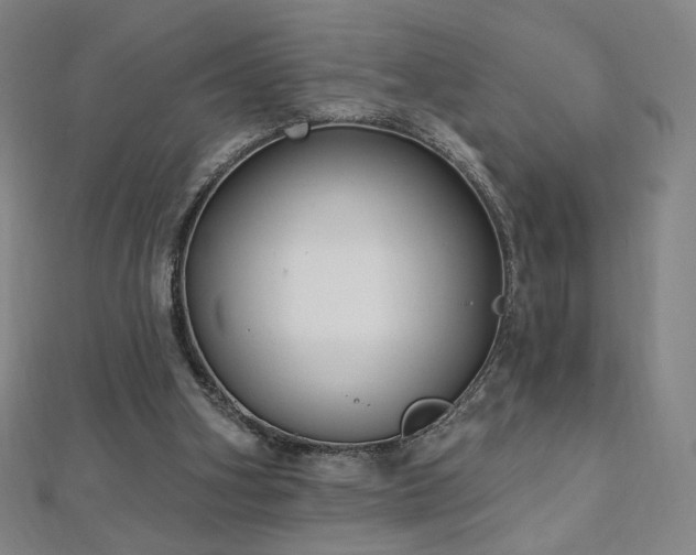 X0000112480106200908171228