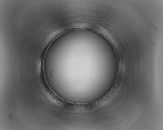 X0000112480110200908171228