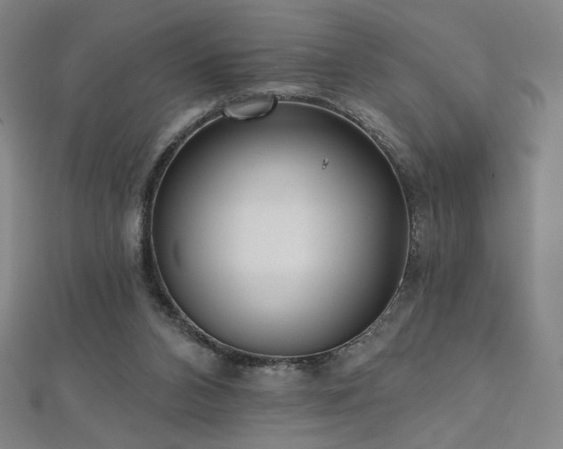 X0000112480112200908171228