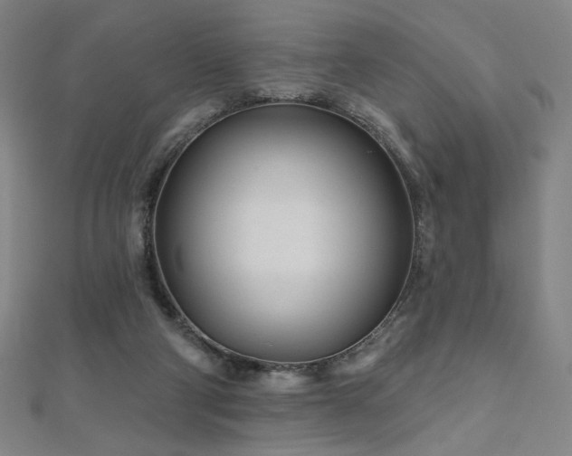 X0000112480114200908171228