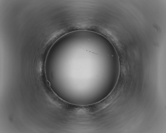 X0000112480115200908171228