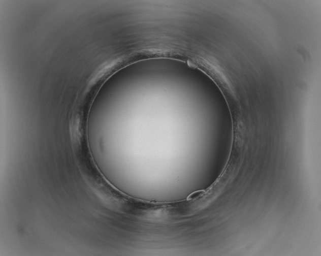 X0000112480116200908171228