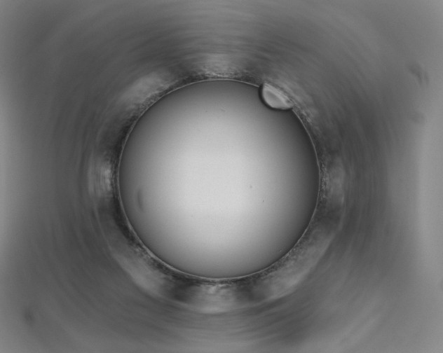 X0000112480117200908171228