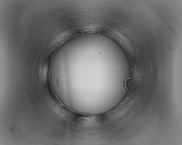 X0000112480118200908171228
